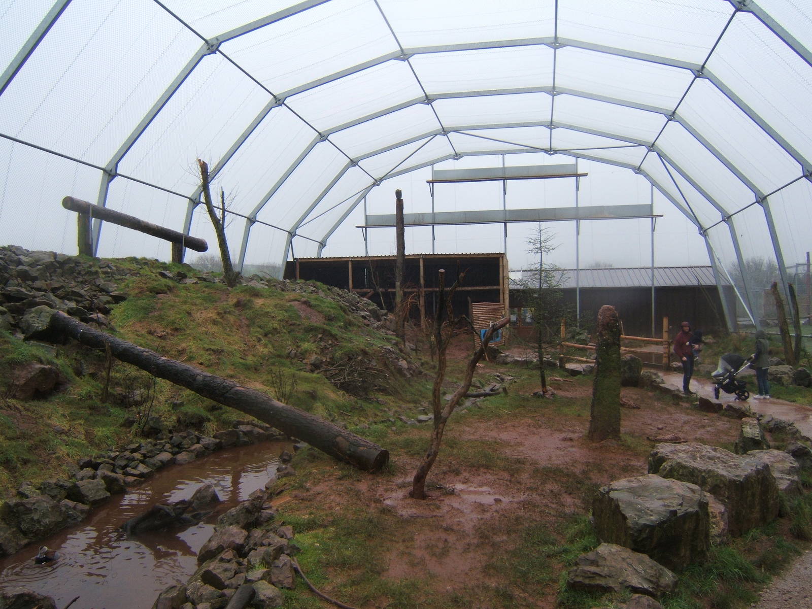 View inside South American Bird of Prey aviary