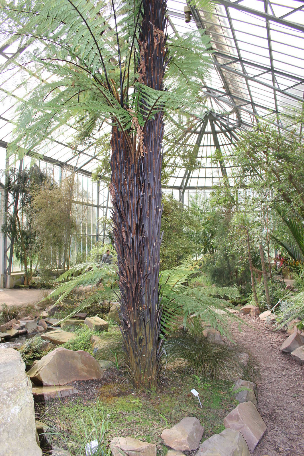 View inside sub-Antarctic house