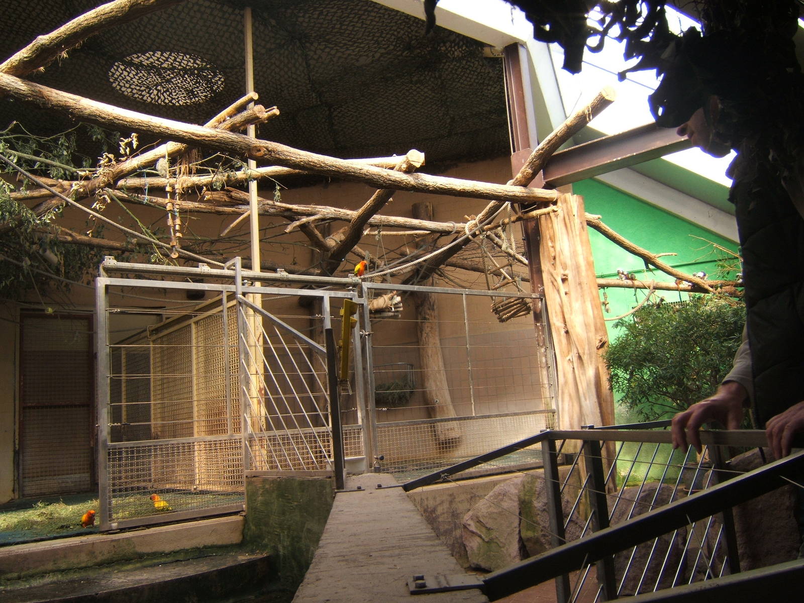 View inside Tapir House