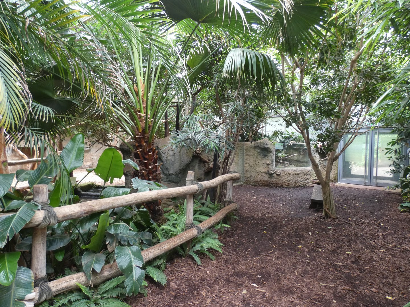 View inside Tapir House