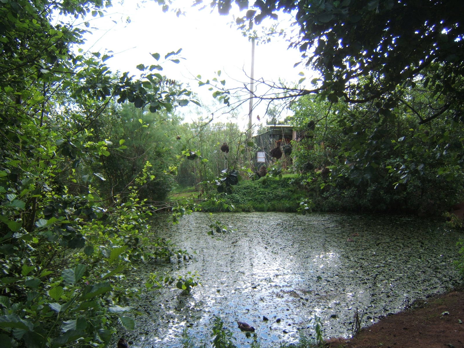 View inside Tasavo Aviary