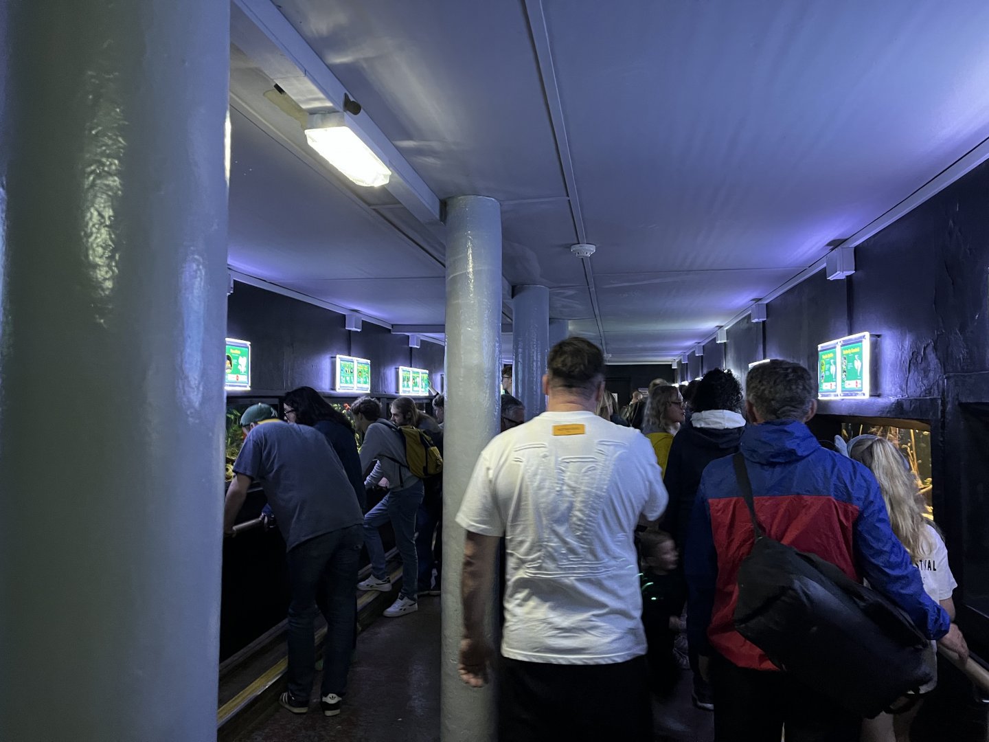 View inside the aquarium 29.6.24