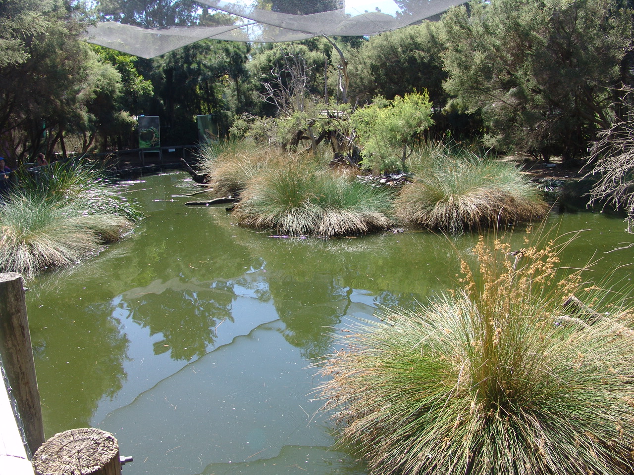 View inside the 'Australian Wetlands