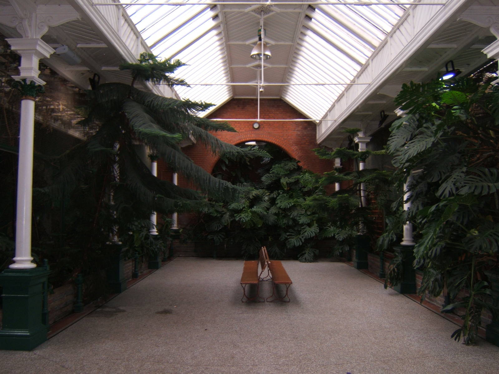 View inside the Bird House
