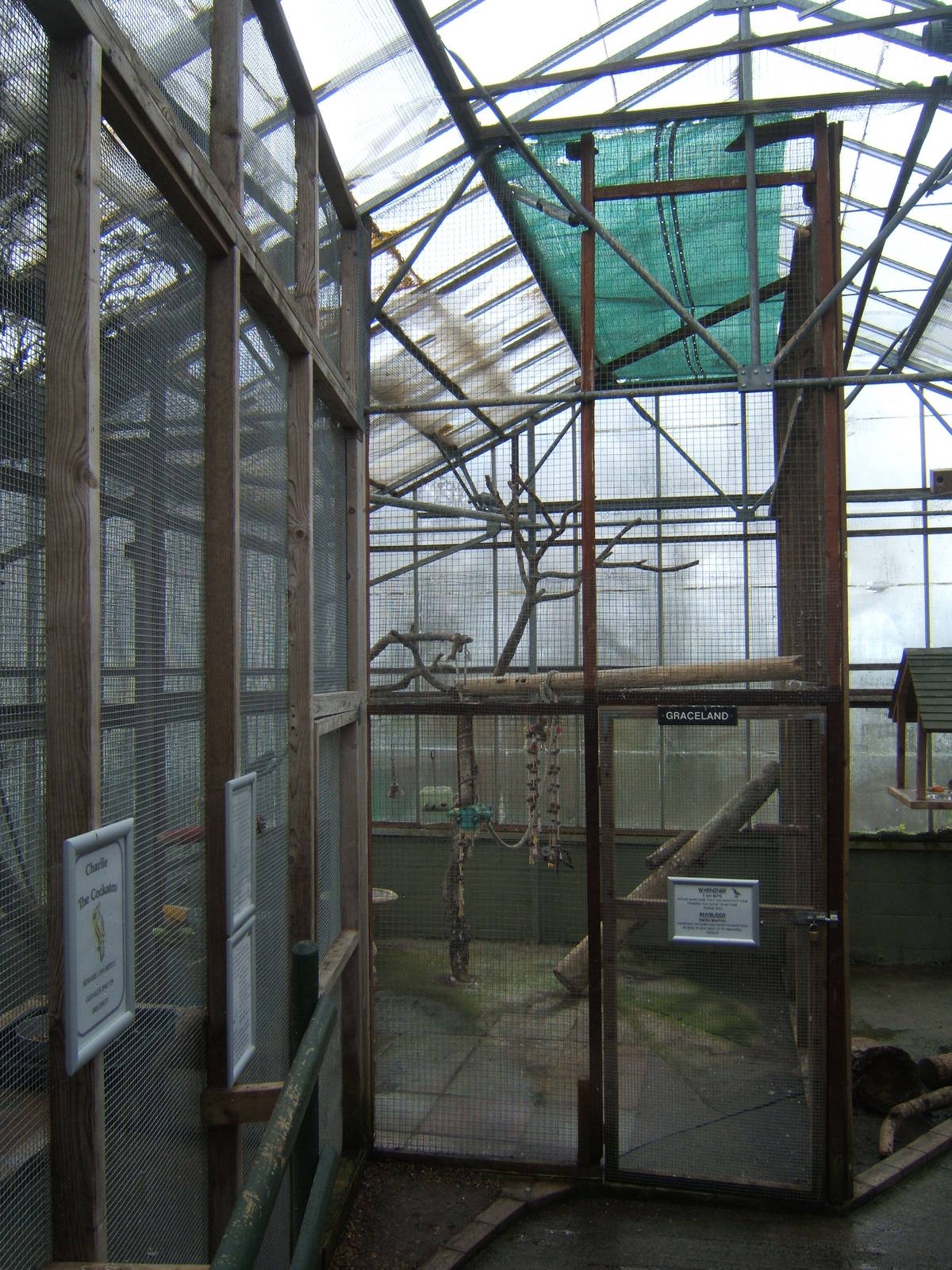 View inside the Bird House