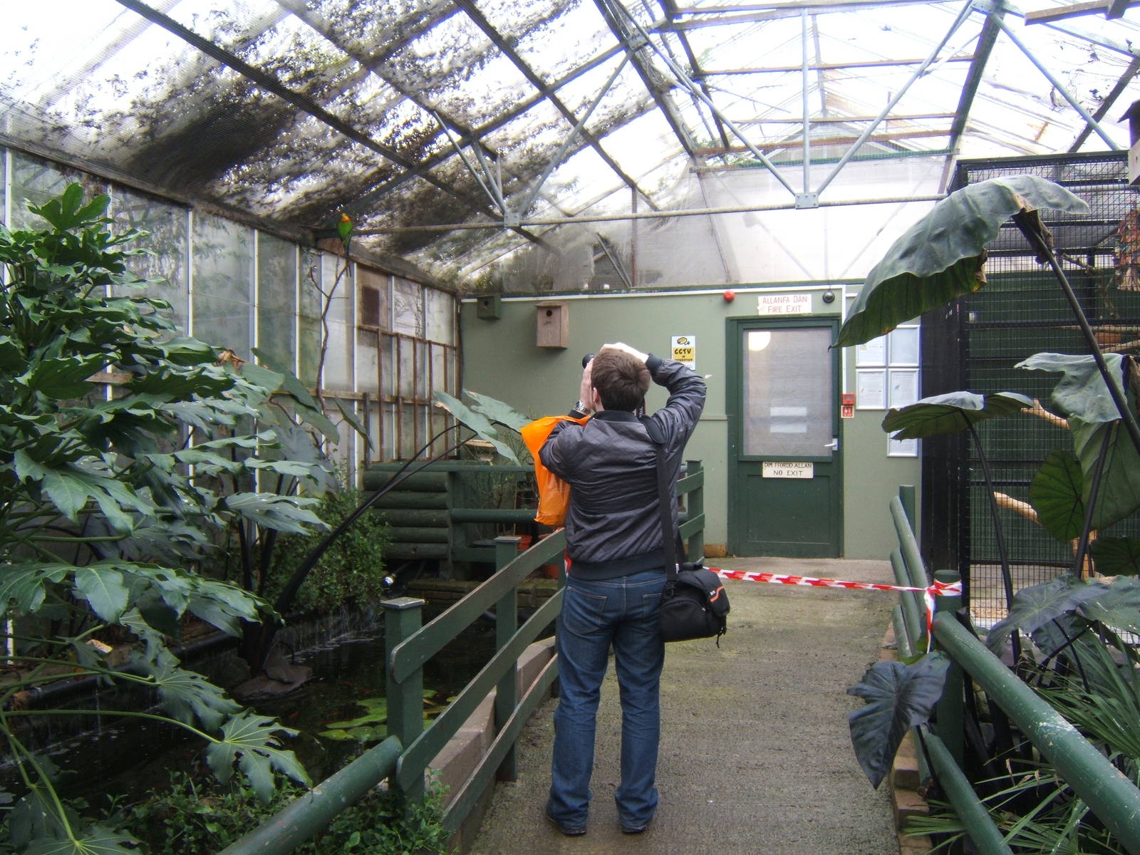 View inside the Bird House