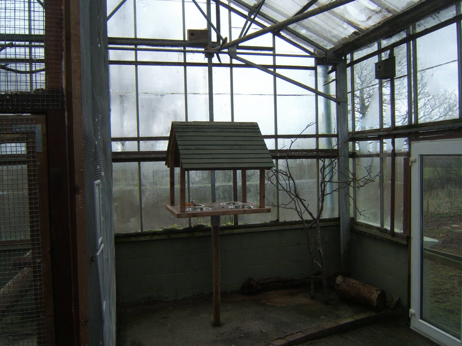 View inside the Bird House