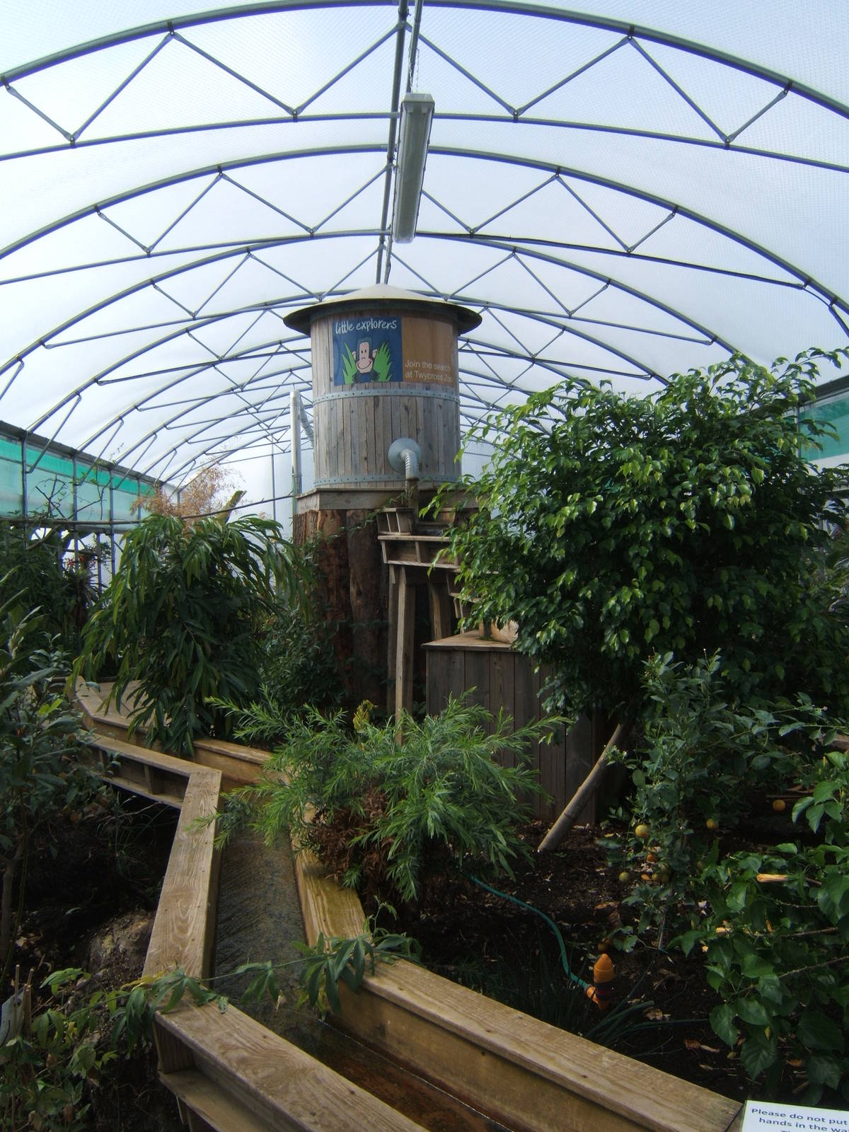 View inside the Butterfly House