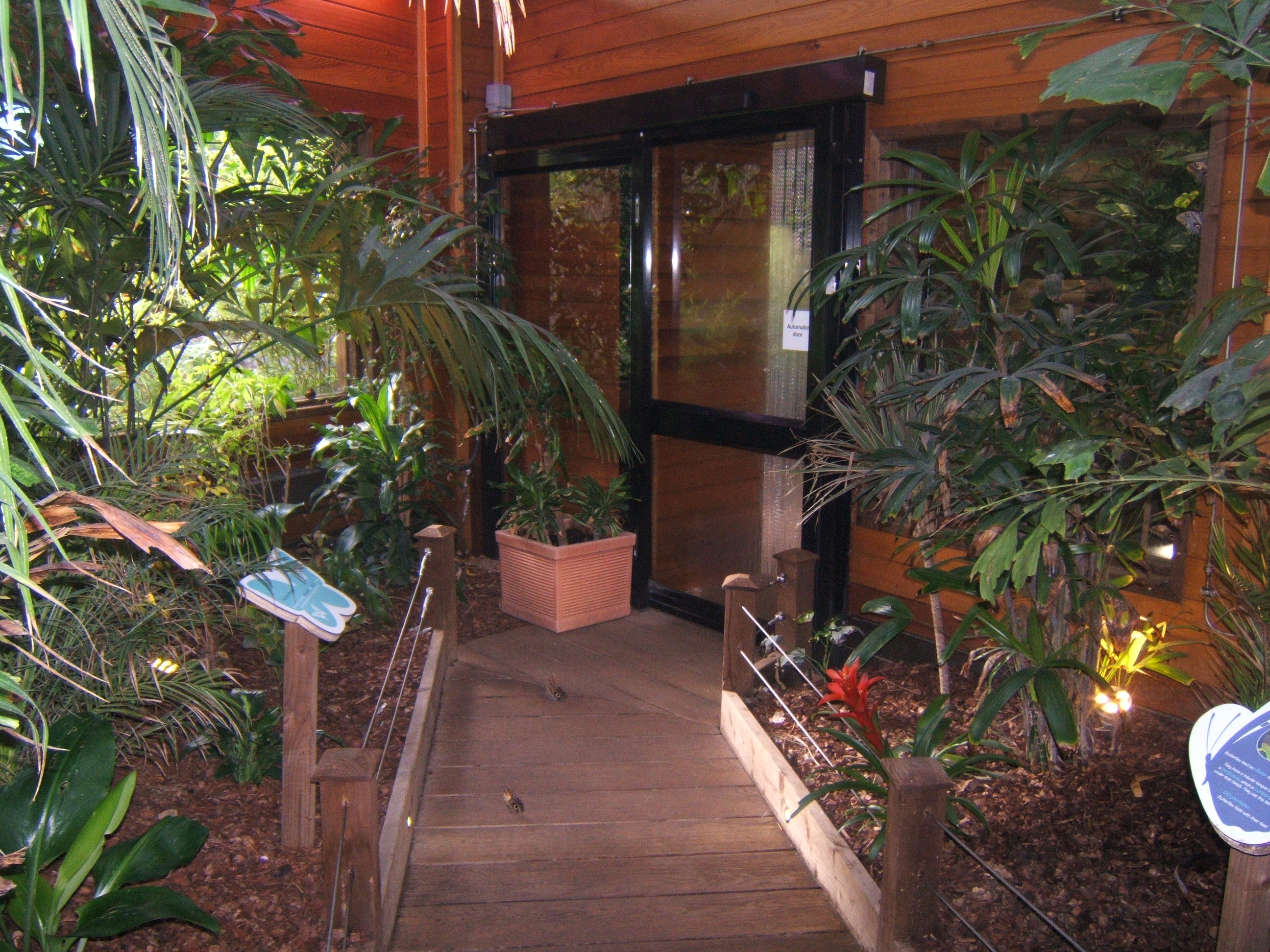 View inside the Butterfly House