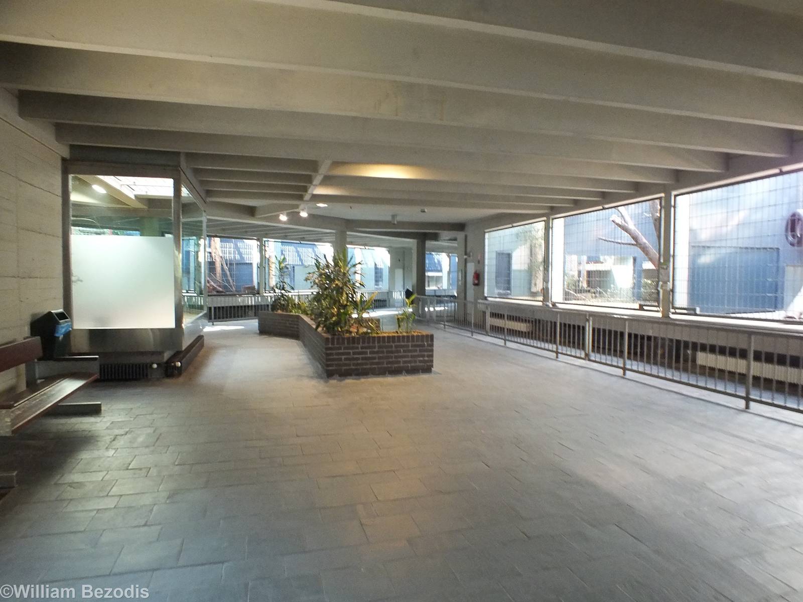 View Inside the Carnivore House