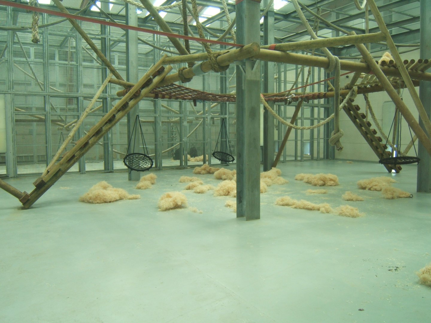 View inside the Chimp House 27/08/2017