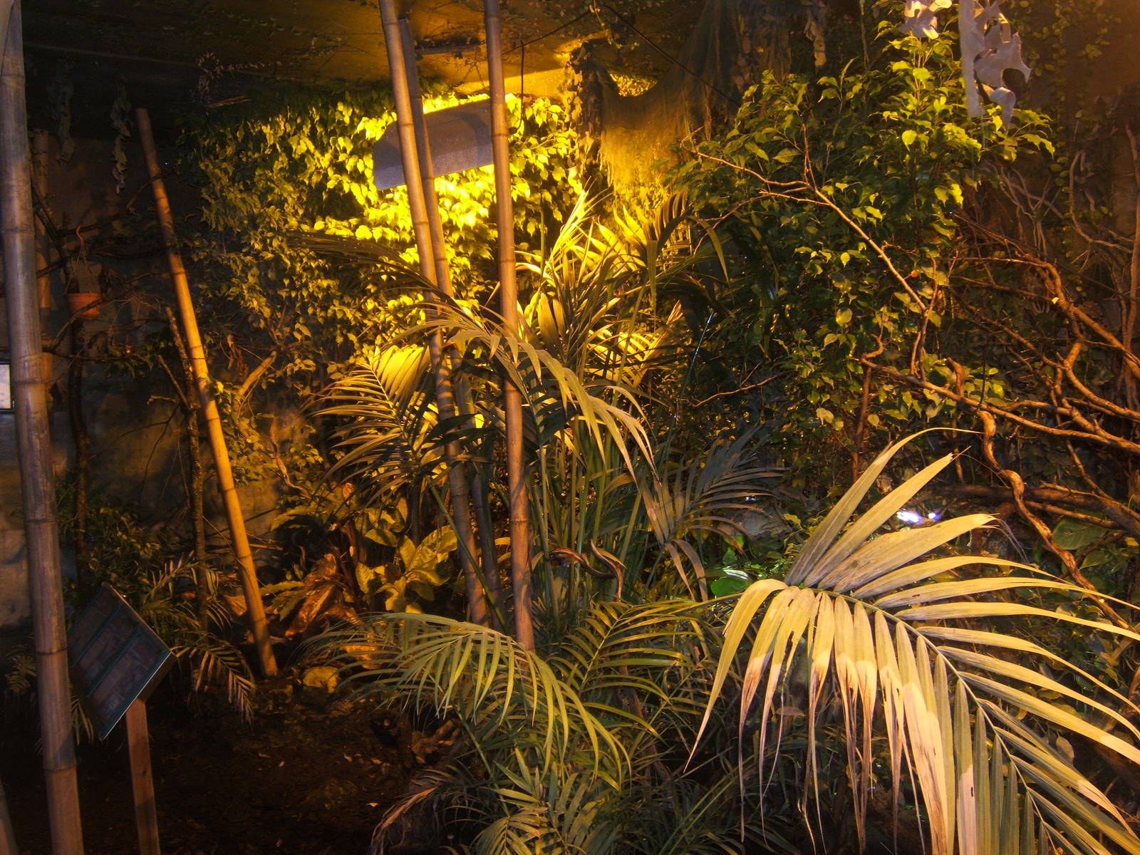 View inside The Discovery Zone