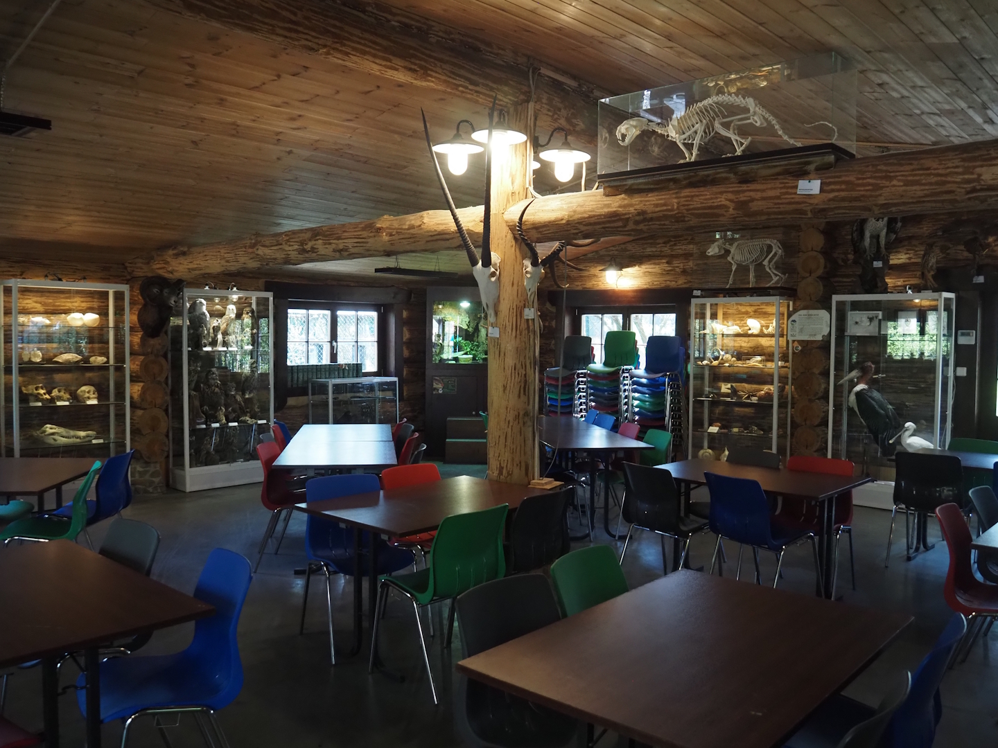 View inside the education log cabin, 2025-04-12