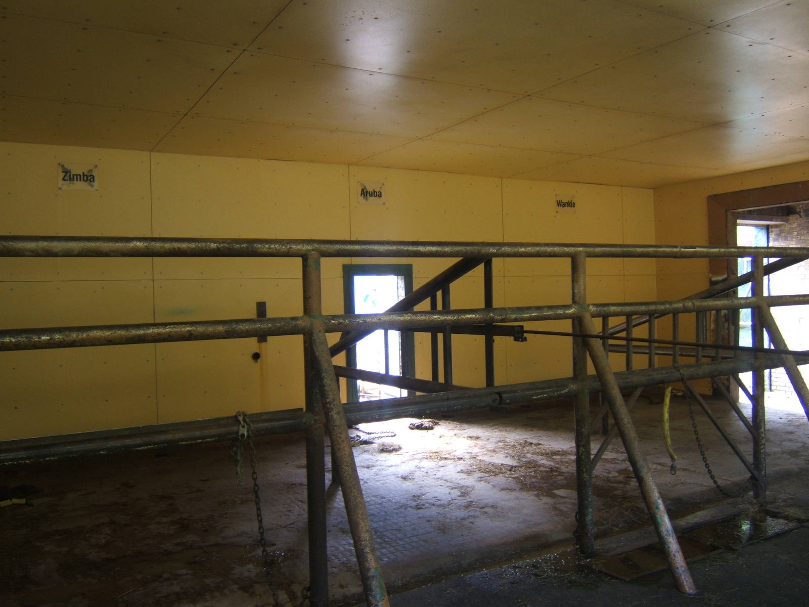 View Inside the Elephant House