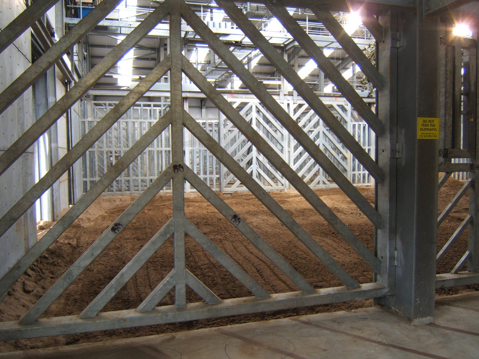 View inside the Elephant House