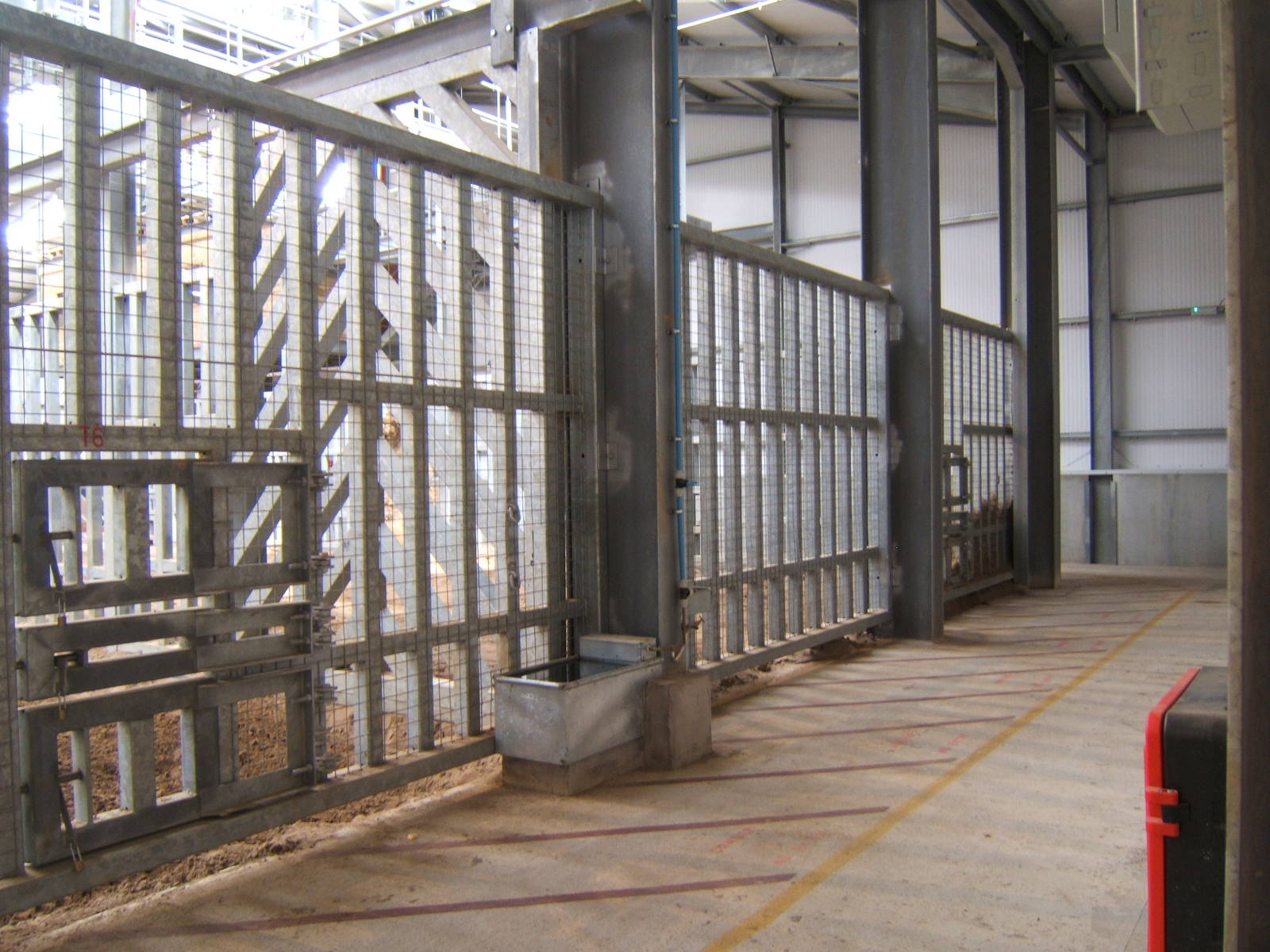 View inside the Elephant House