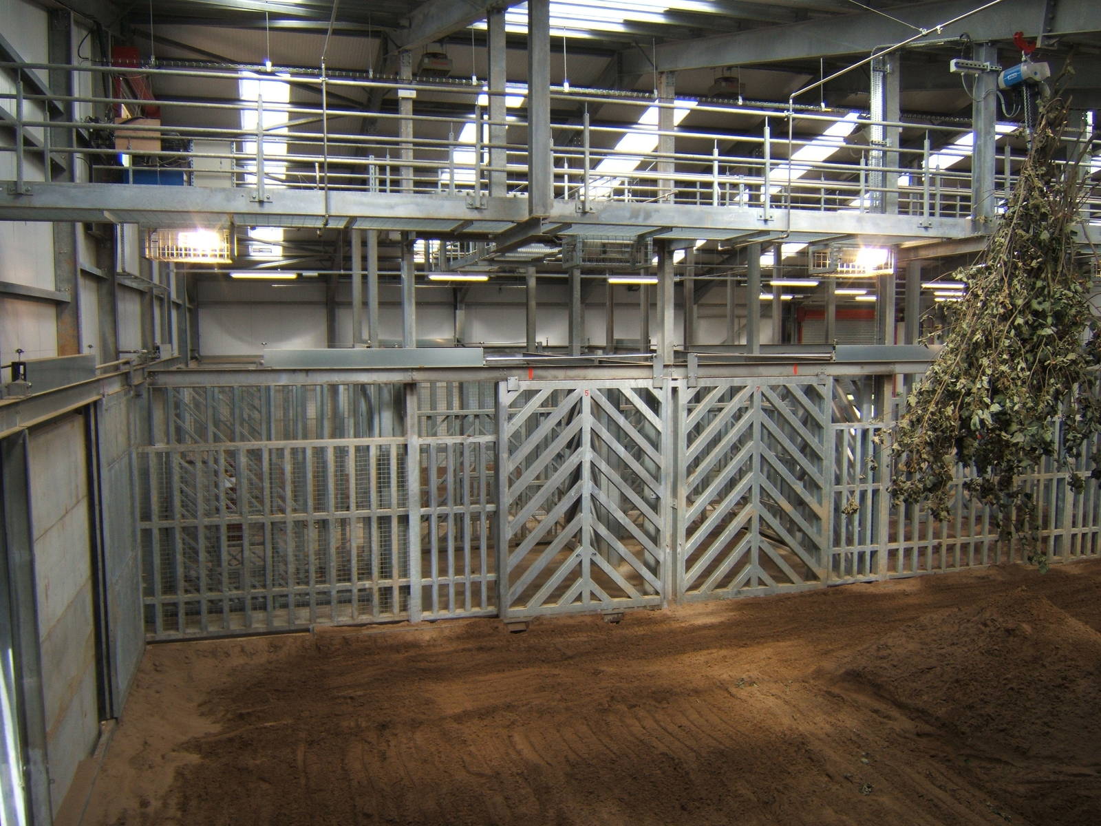 View inside the Elephant House