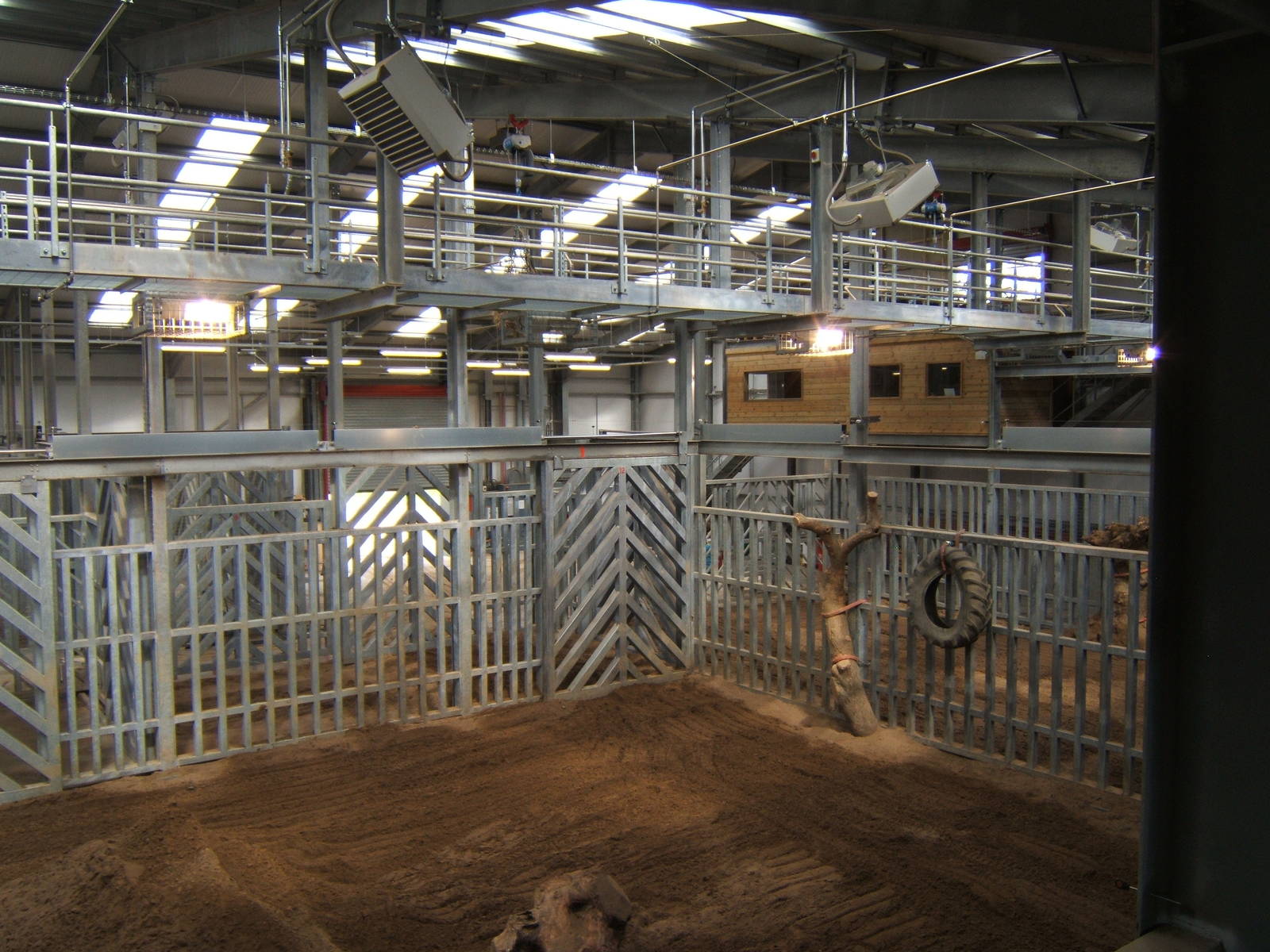 View inside the Elephant House