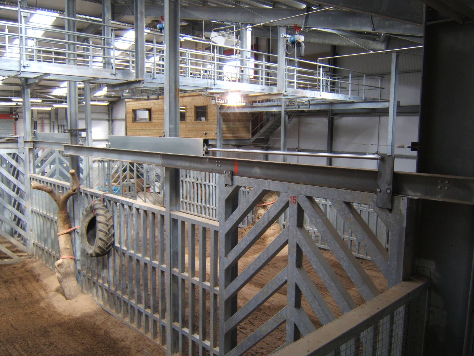 View inside the Elephant House