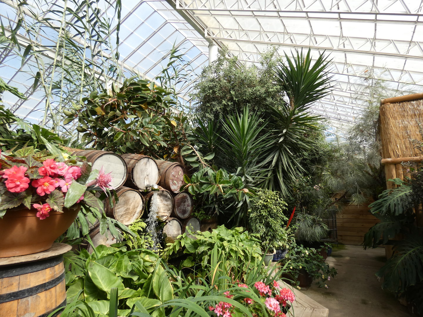 View inside the Endeavour Tropical House