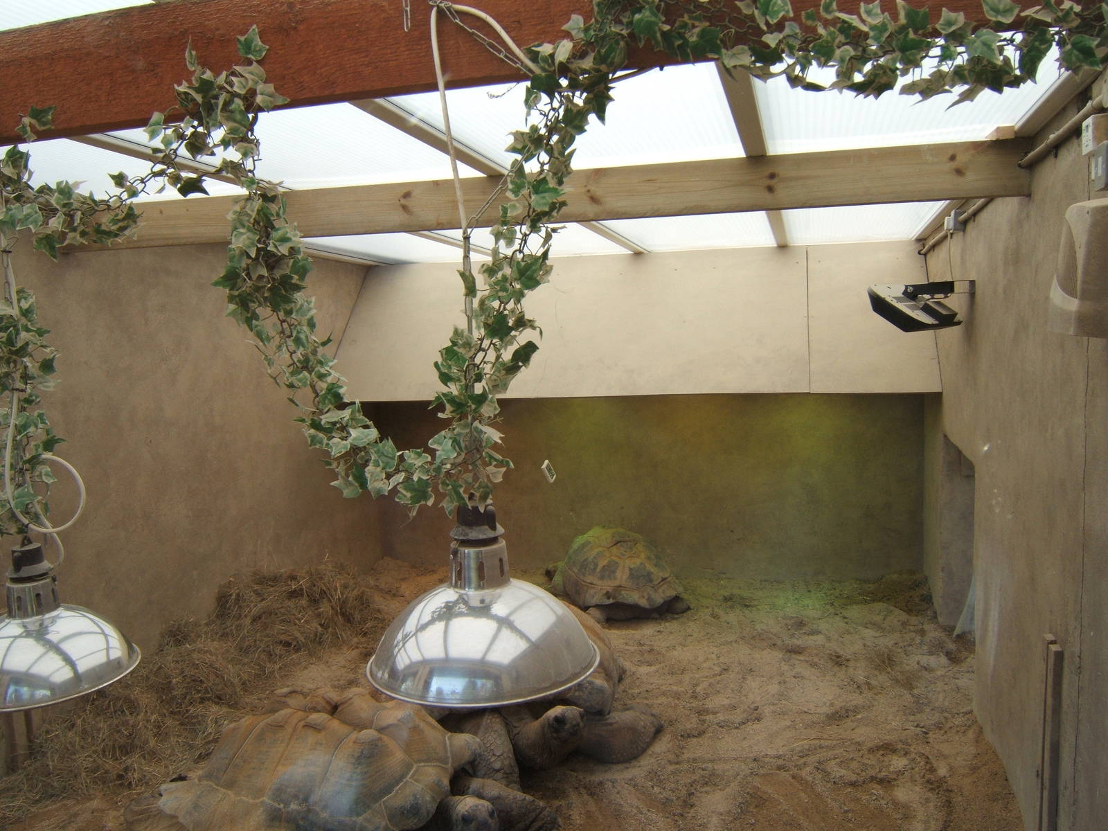 View inside the extended Giant Tortoise House