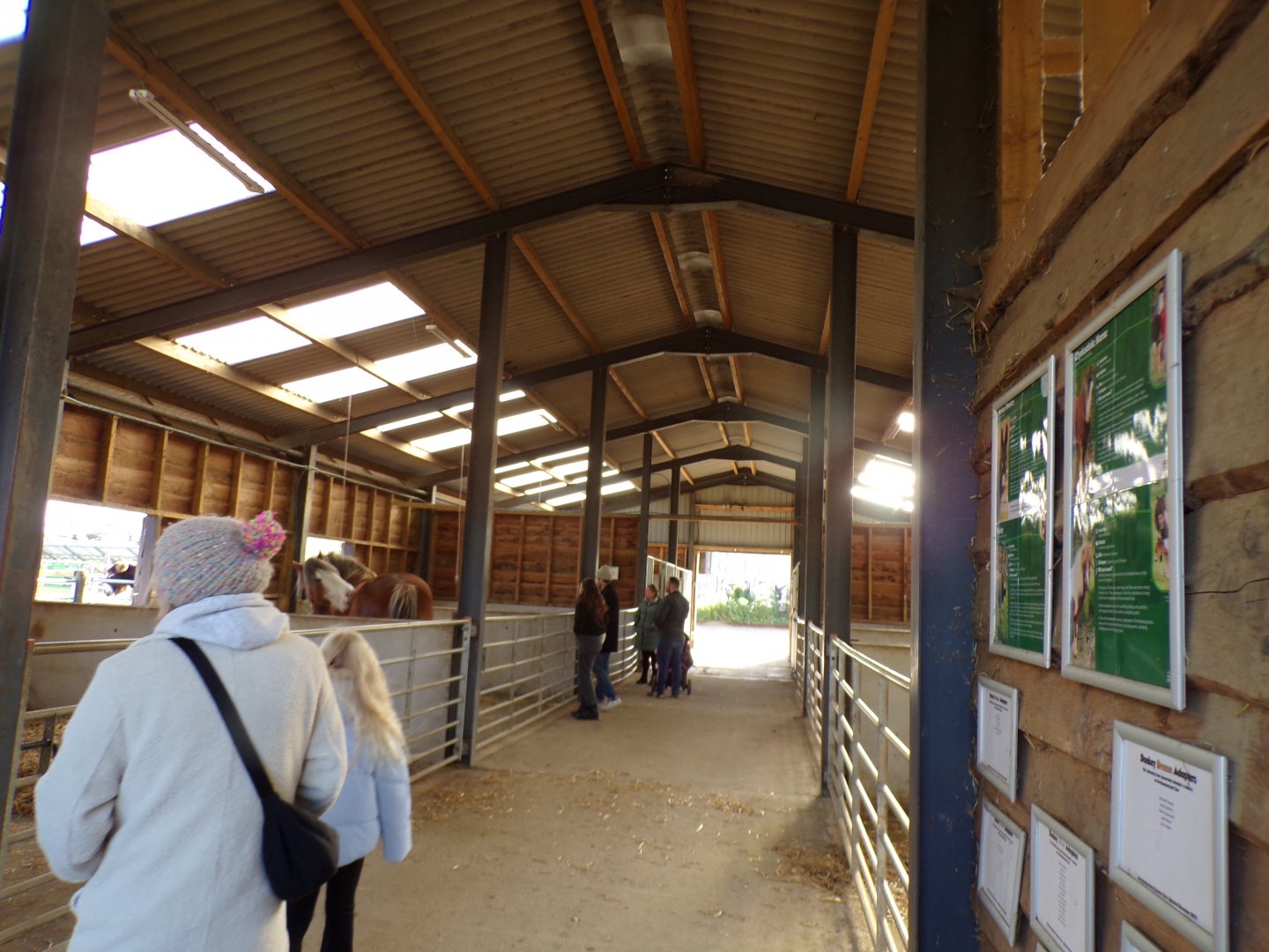 View inside the farm animal barn 14.10.23