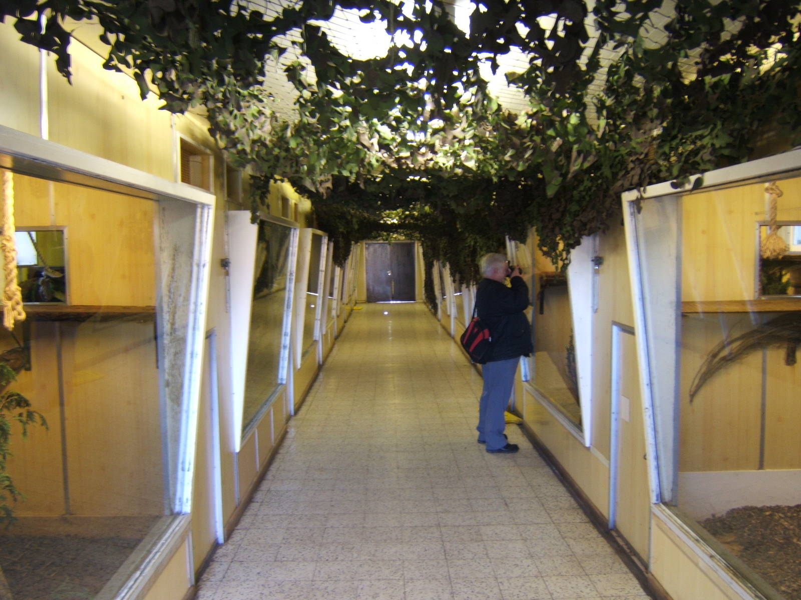 View inside the Gibbon House