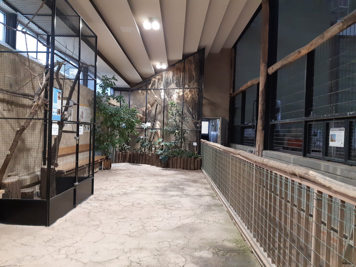 View inside the Giraffe house