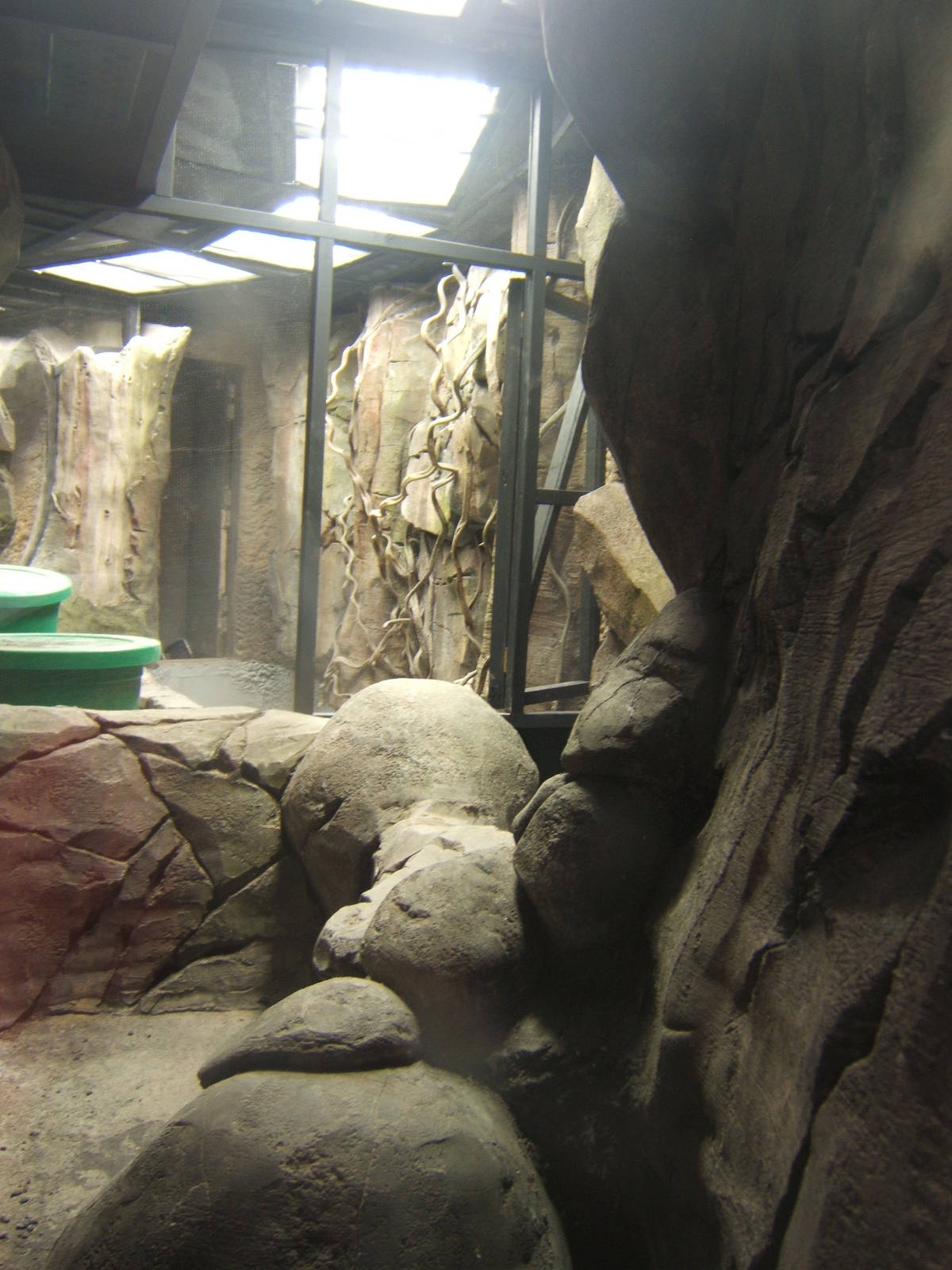 View inside the Herp Vivs