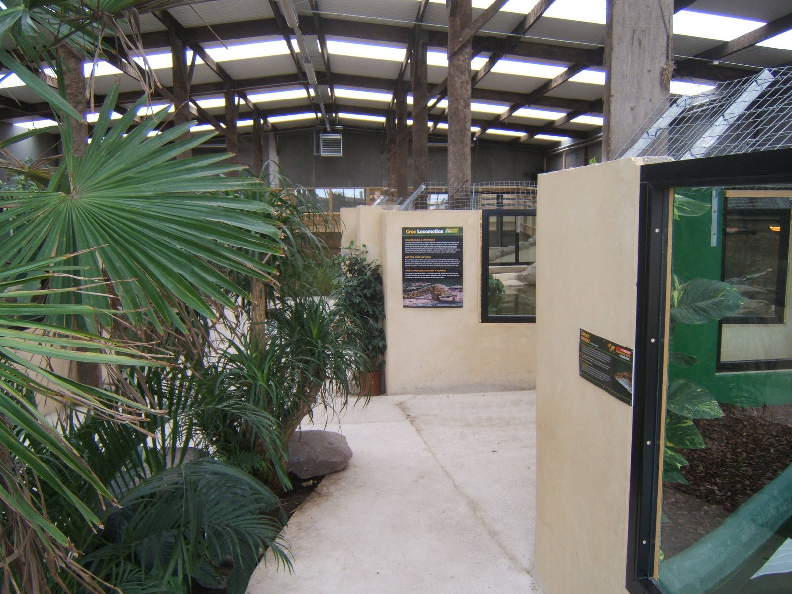 View inside the Large Crocodile House