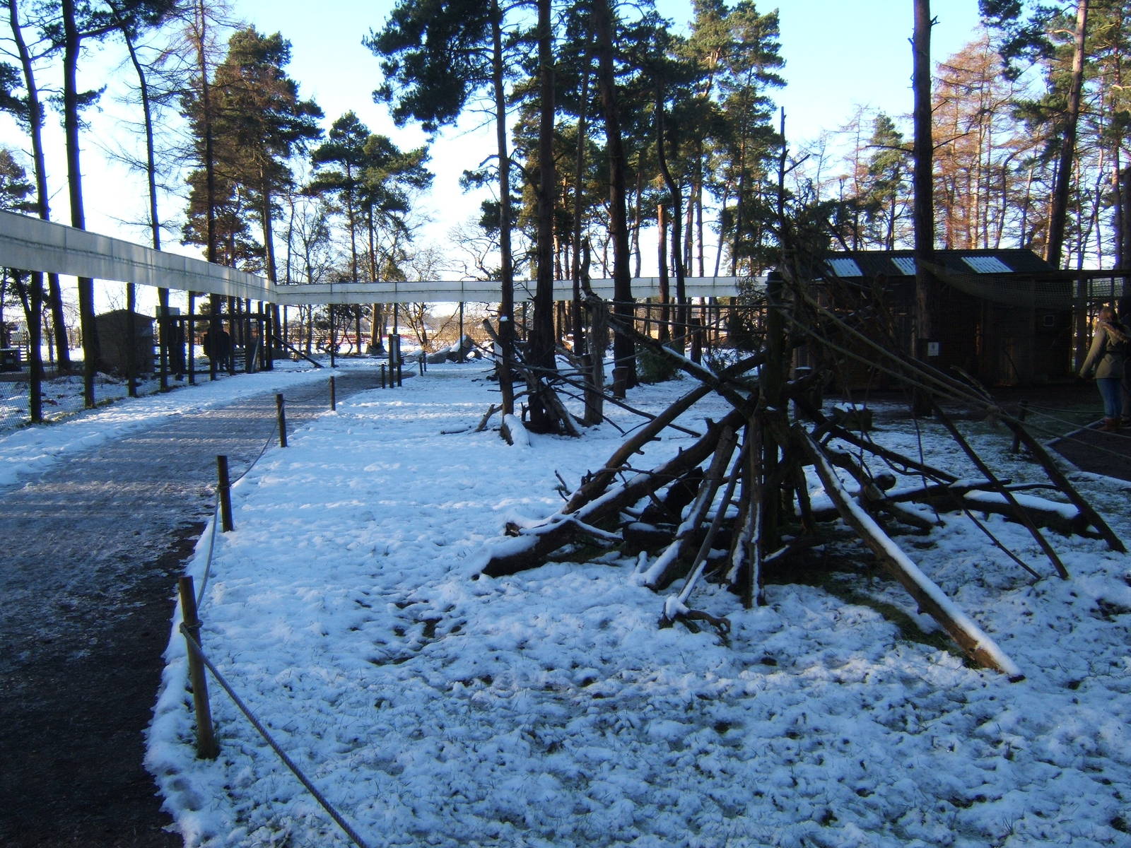 View inside the Lemur enclosure