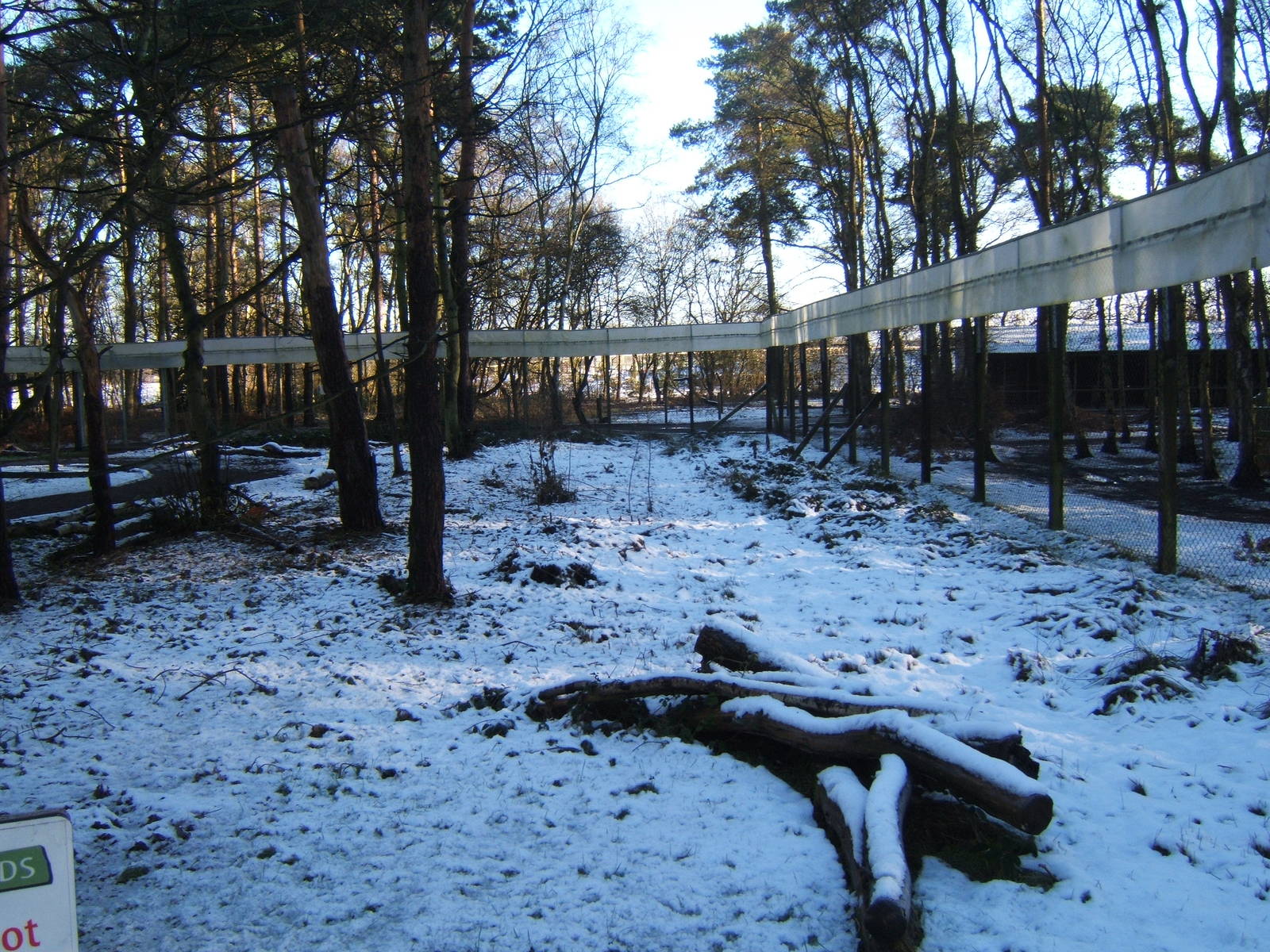 View inside the Lemur enclosure