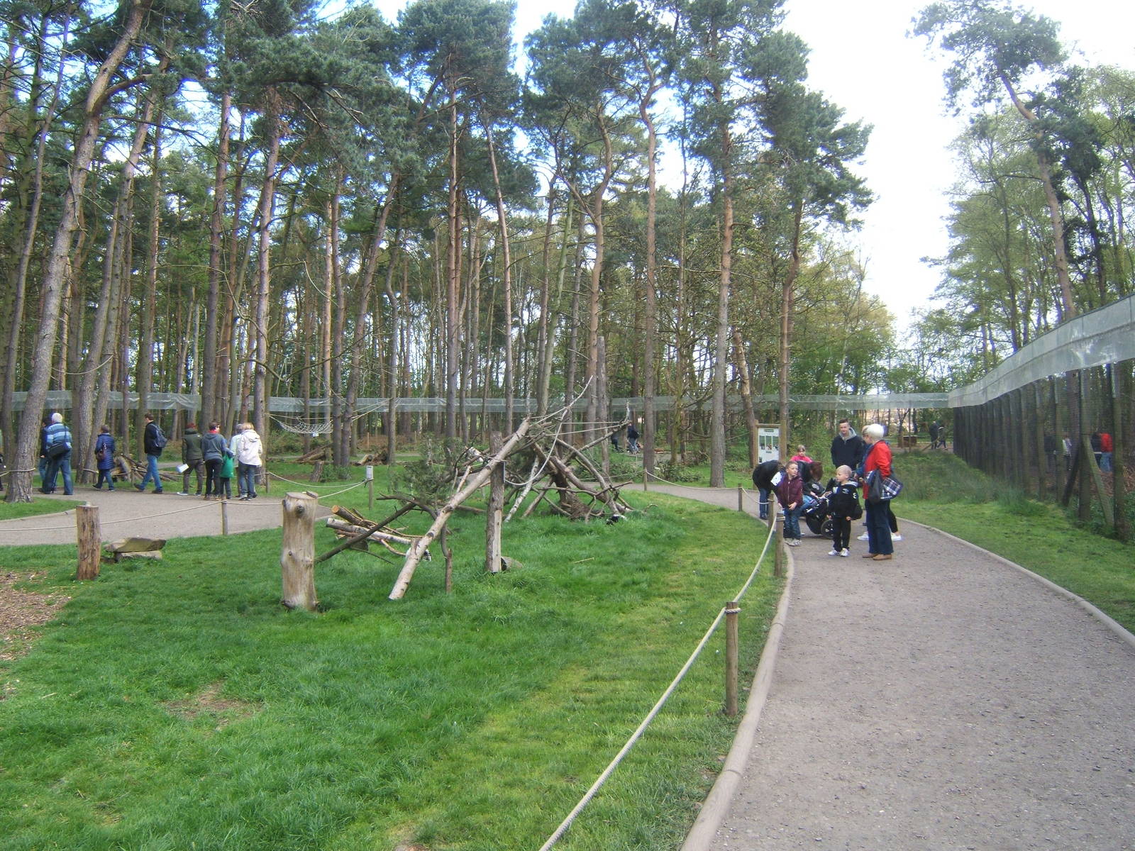 View inside the Lemur Walk through enclosure