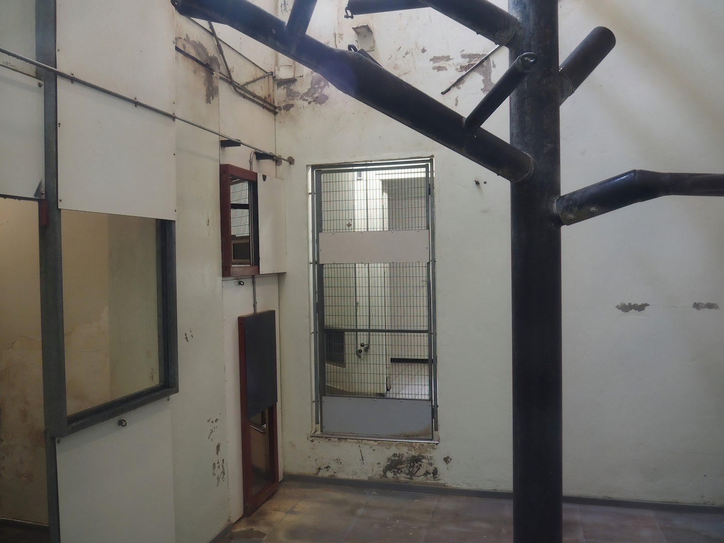 View inside the Lion-tailed macaque and Collared mangabey house, with ongoing renovations, 2024-08-18