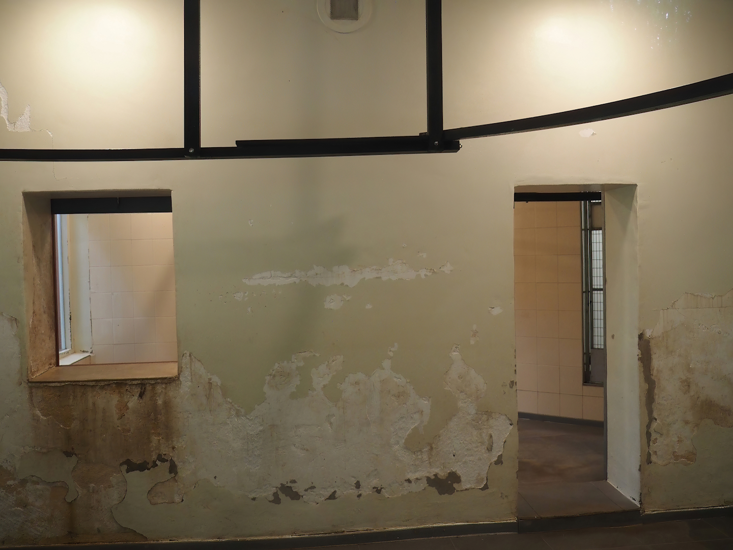 View inside the Lion-tailed macaque and Collared mangabey house, with ongoing renovations, 2024-08-18