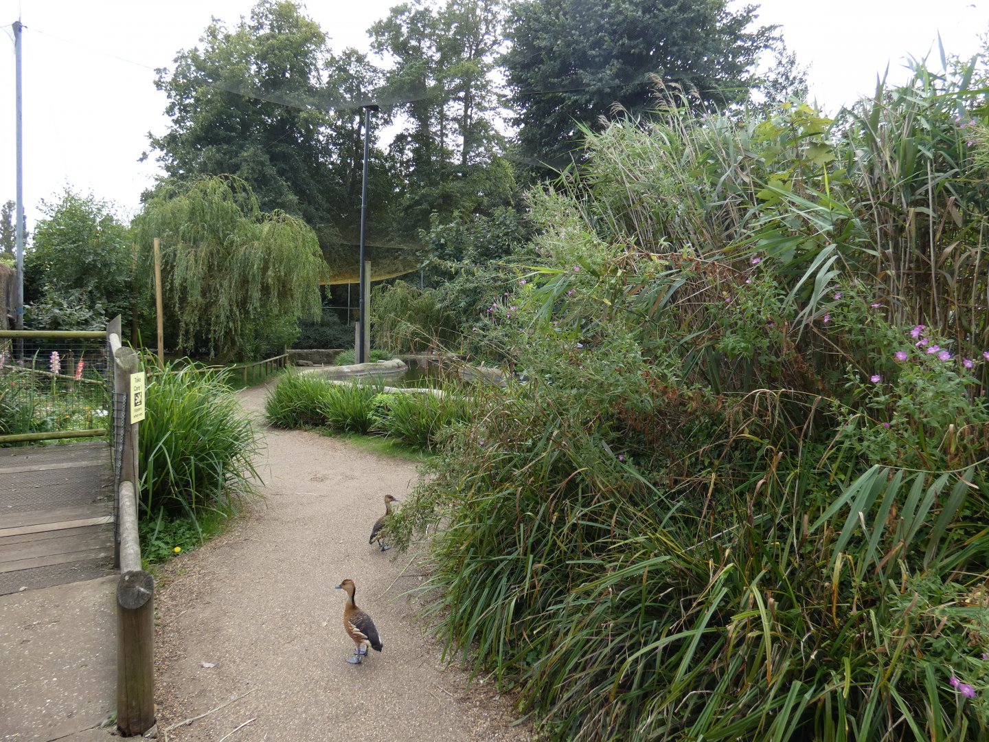 View inside the Main aviary