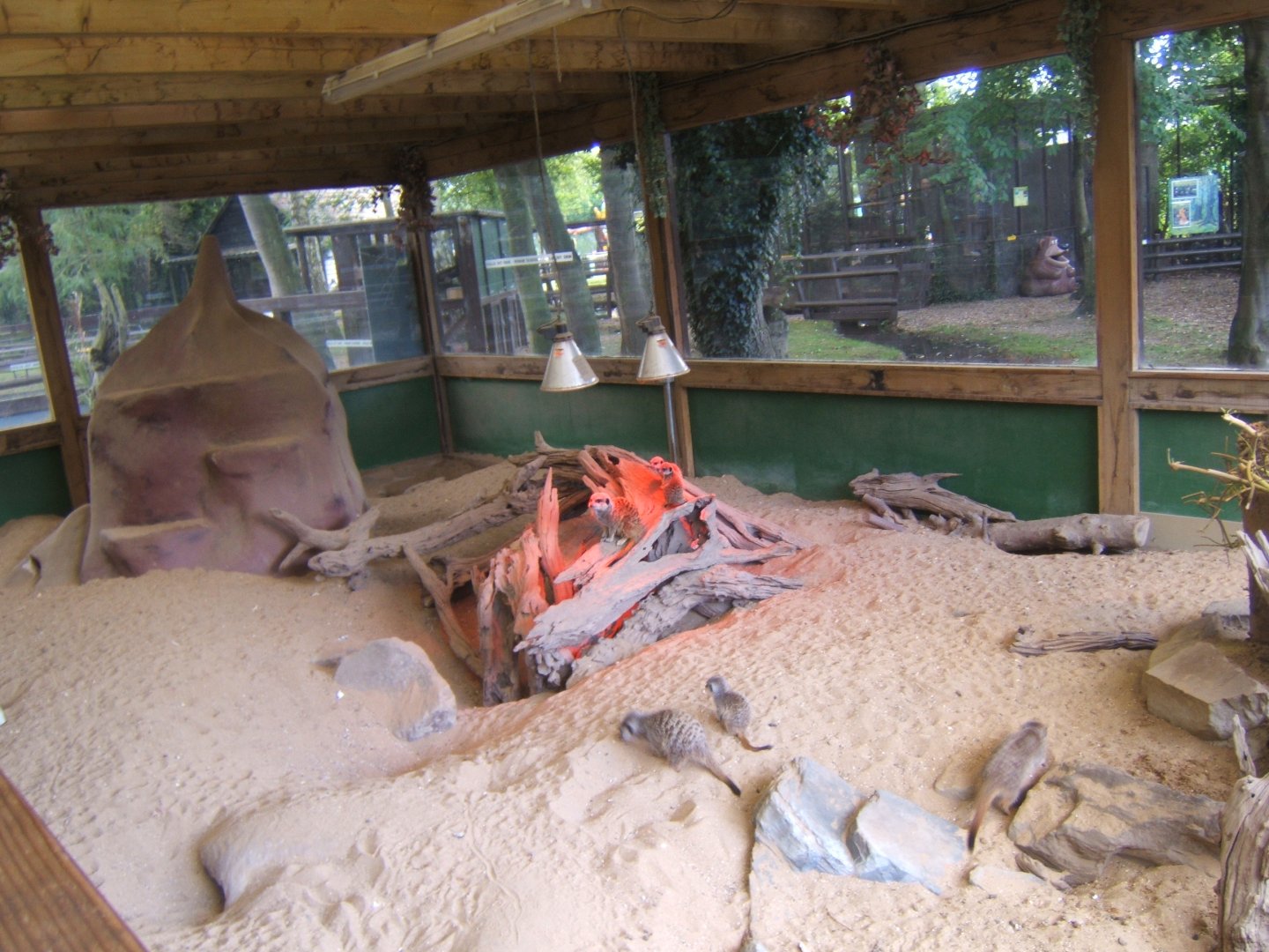 View inside the Meerkat House
