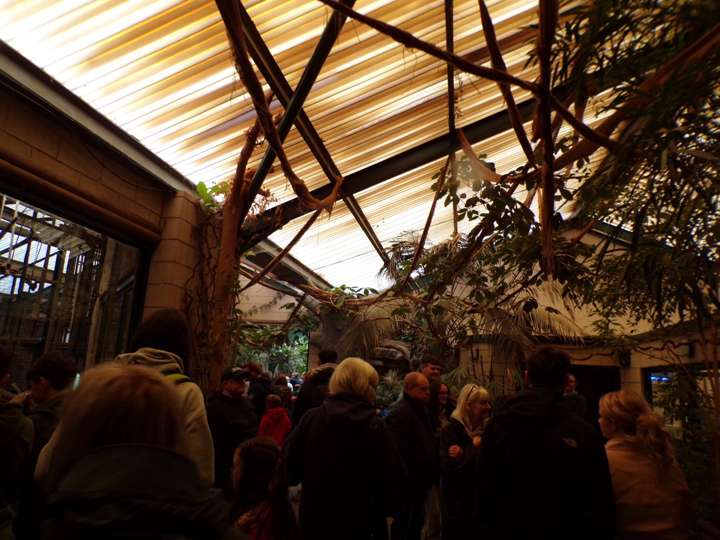 View inside the monkey house 29.6.24