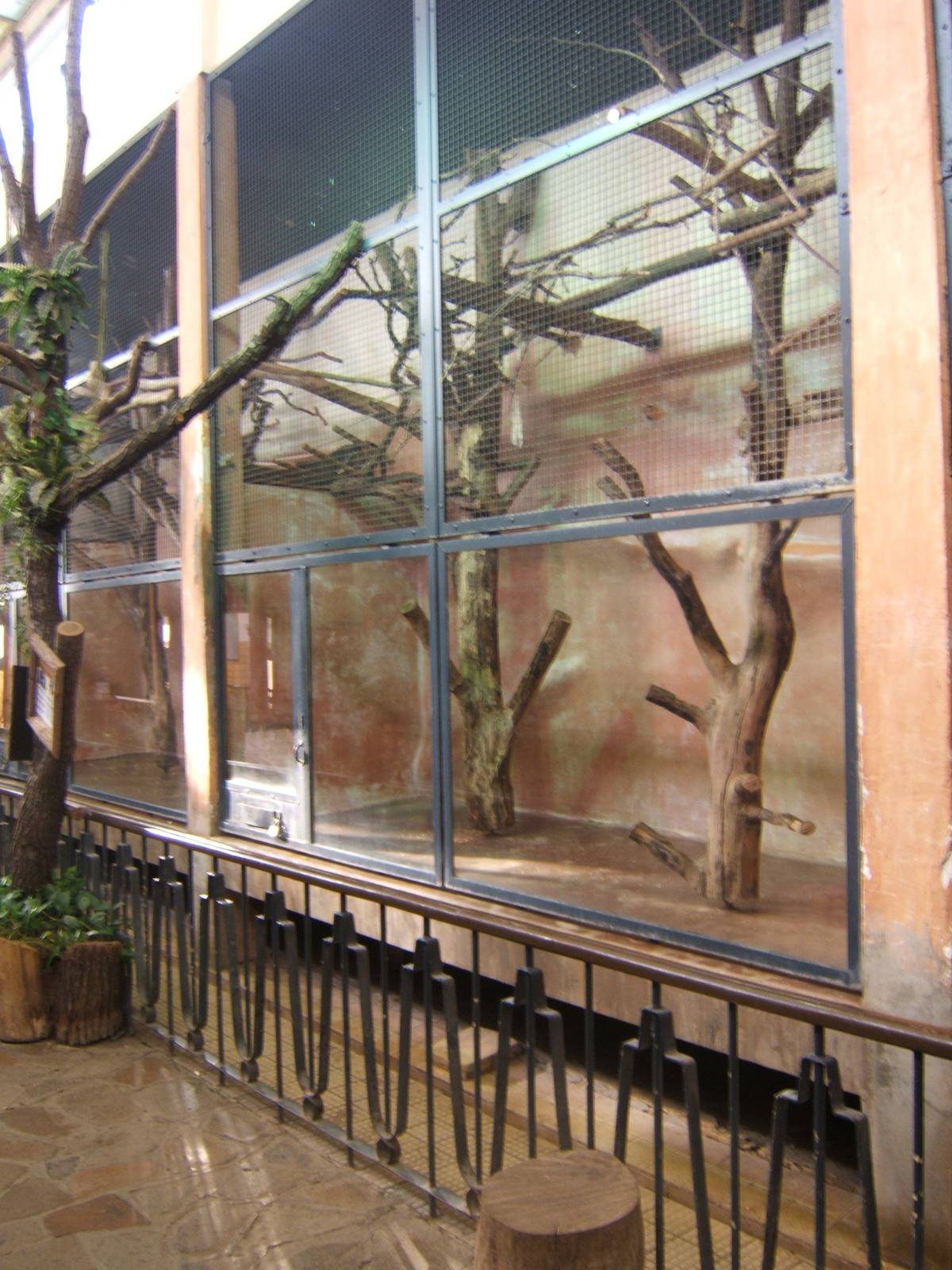 View inside the Monkey House