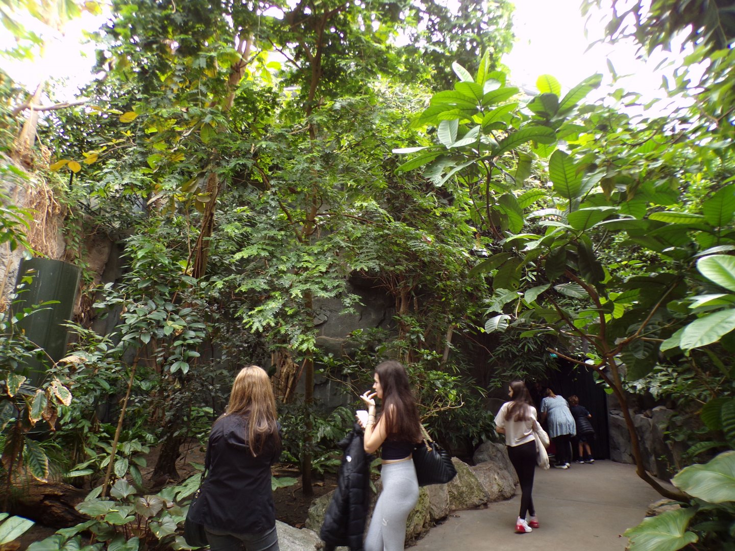 View inside the monsoon forest 29.6.24