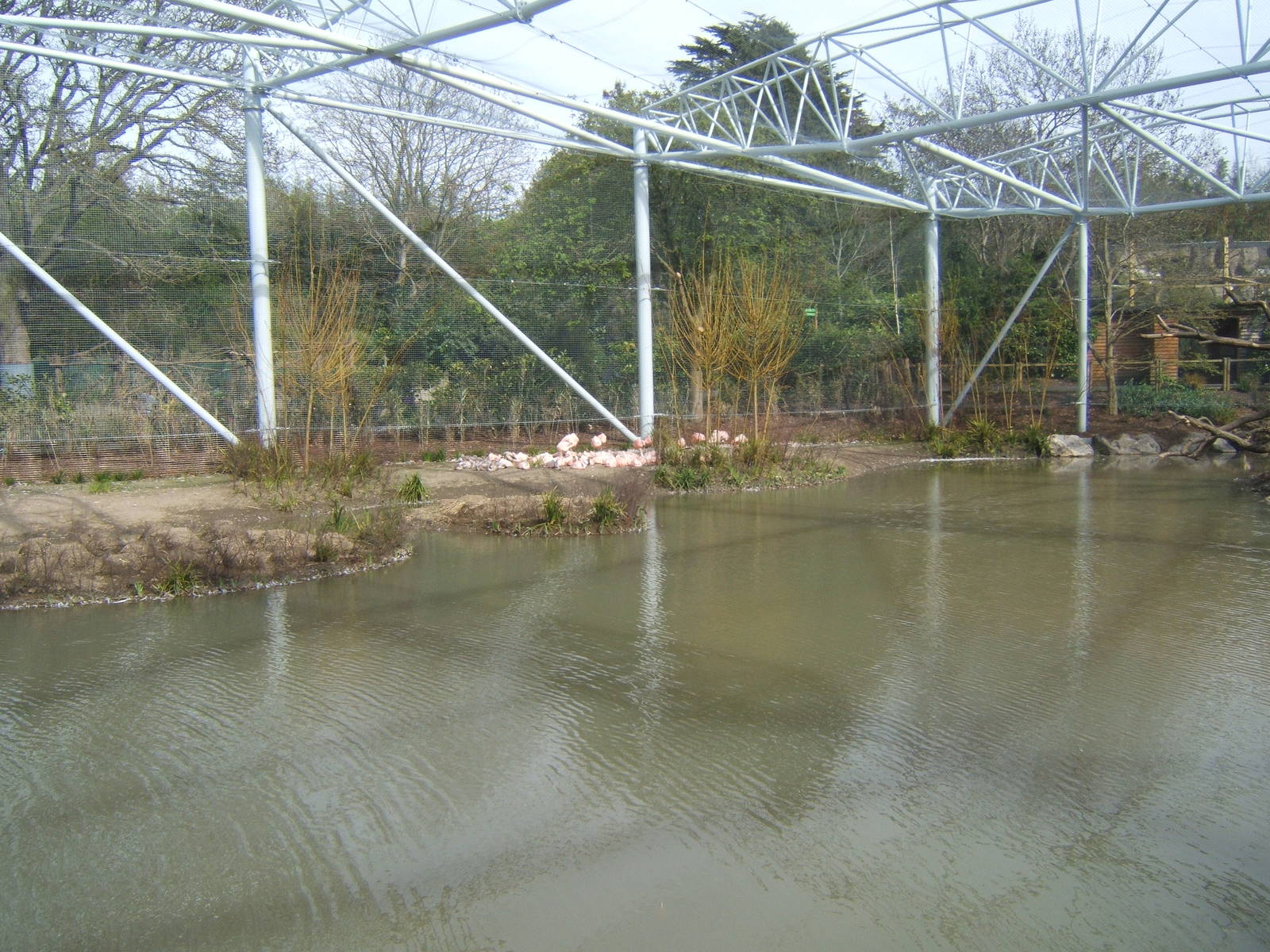View inside the new Flamingo Aviary