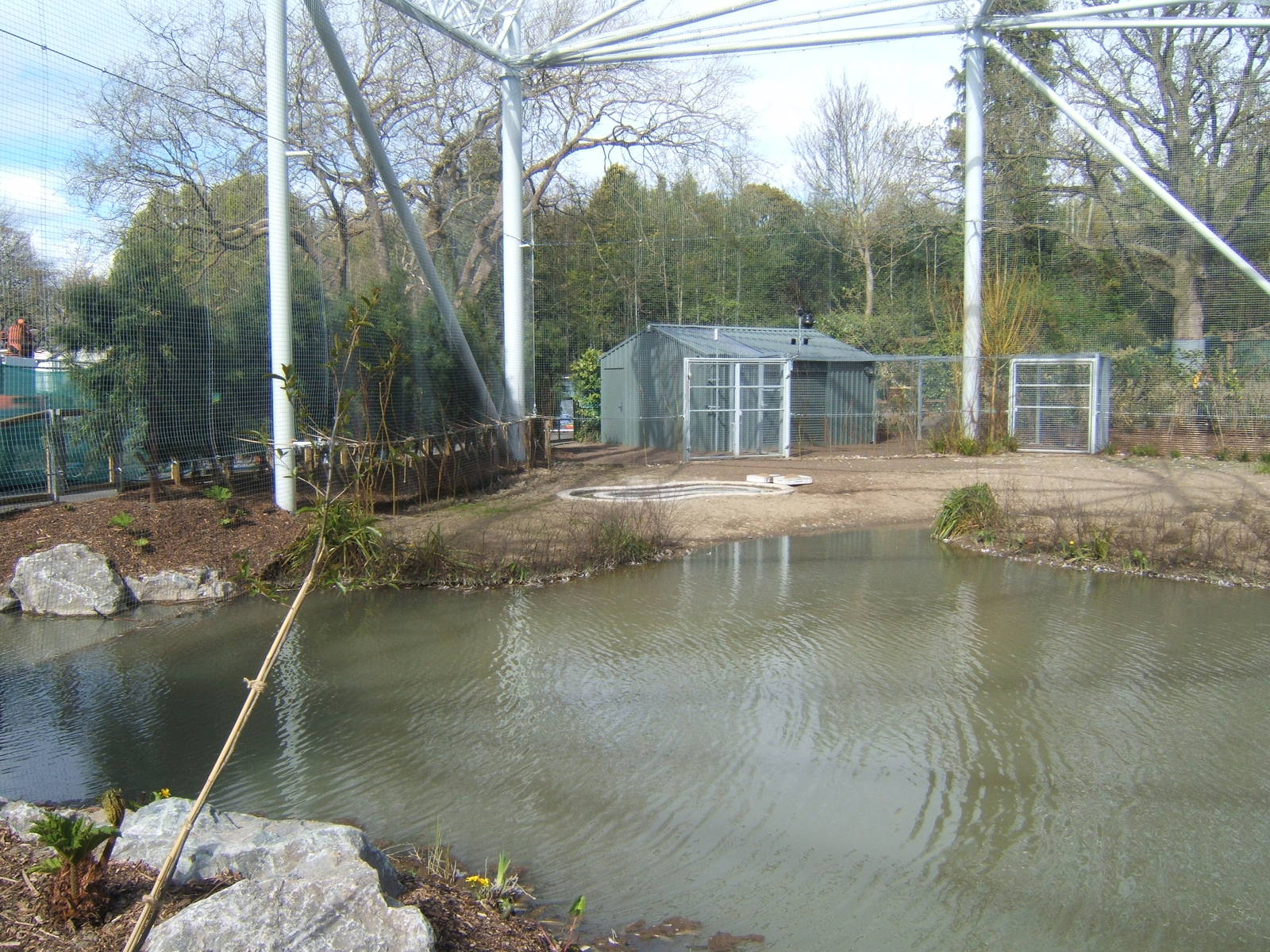 View inside the new Flamingo Aviary
