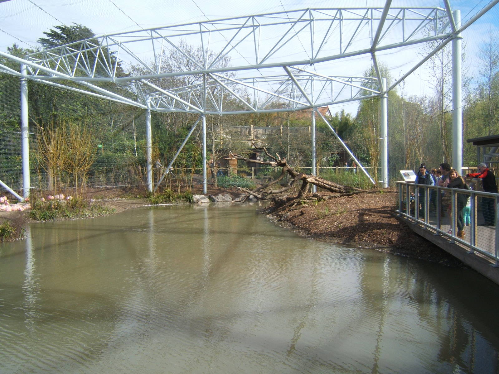 View inside the new Flamingo Aviary