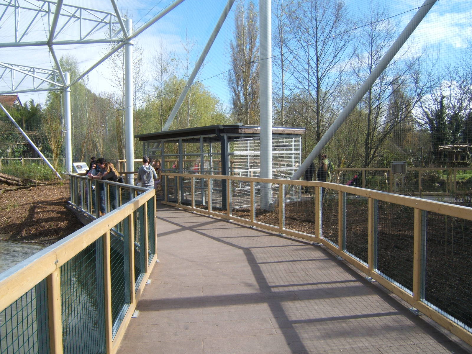 View inside the new Flamingo Aviary