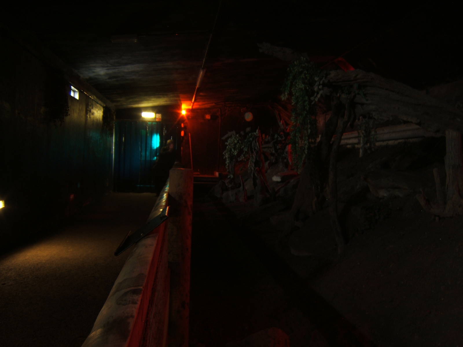 View inside the Nocturnal House