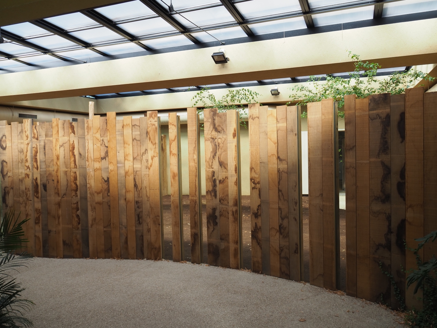 View inside the okapi greenhouse
