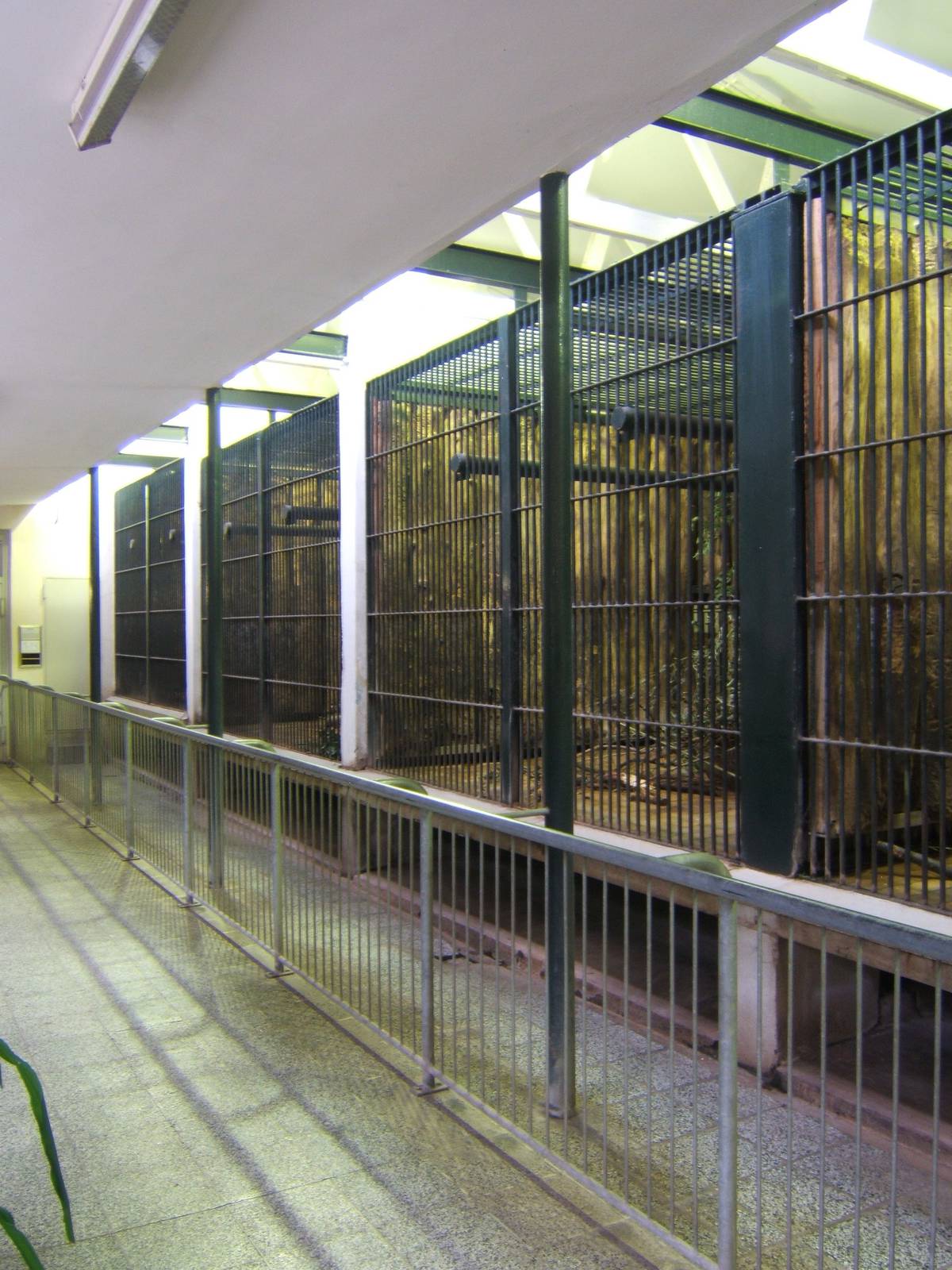 View inside the old Ape House