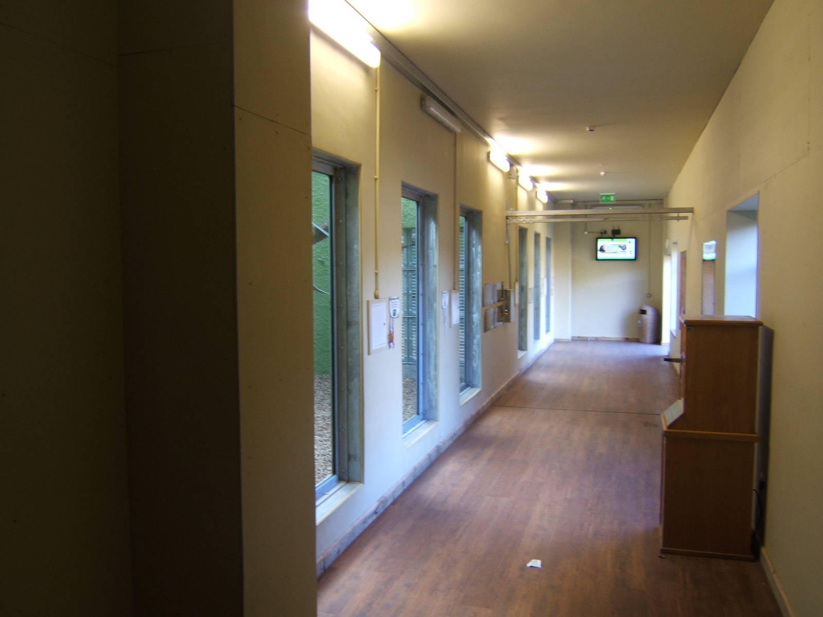 View inside the Orang House