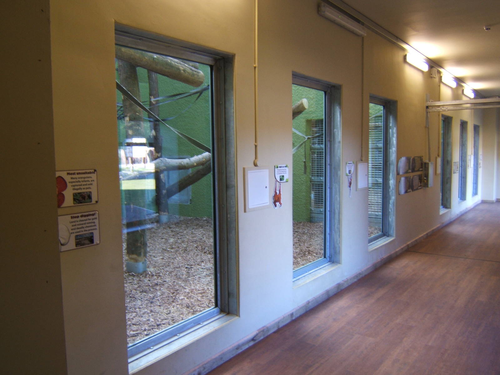 View inside the Orang House