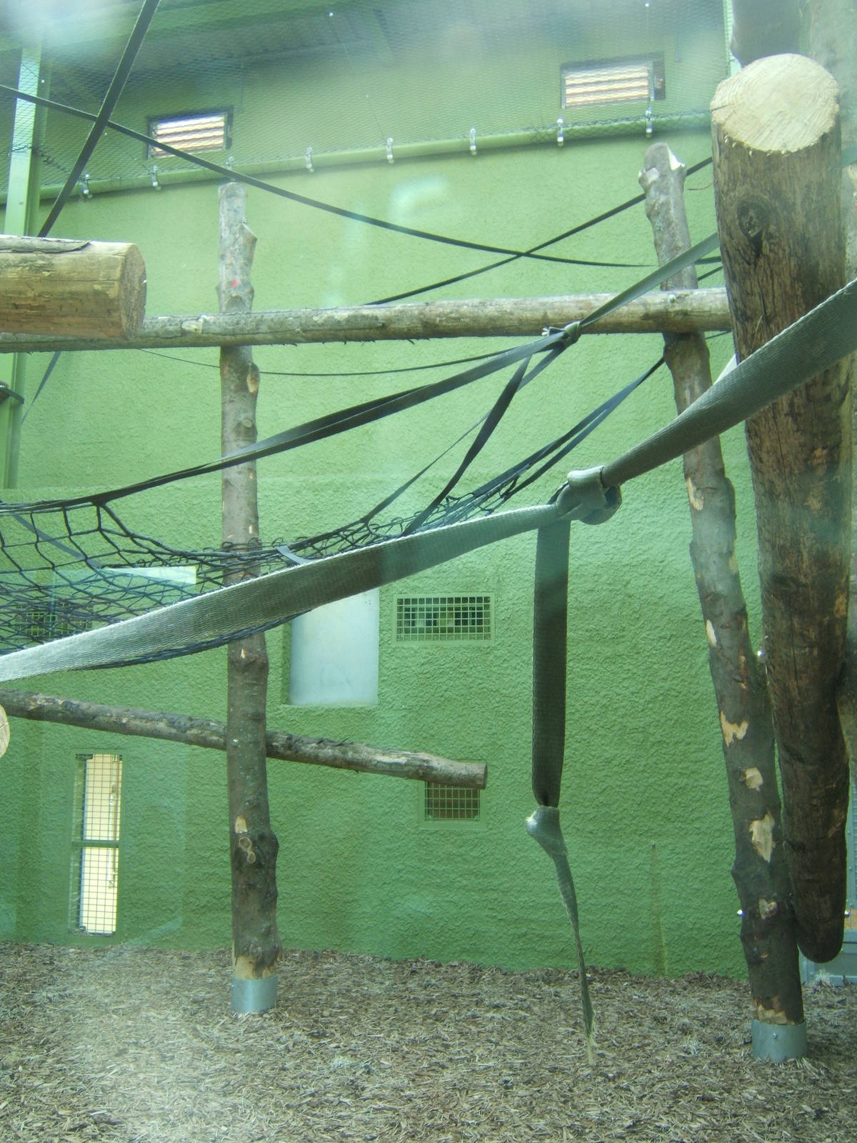 View inside the Orang House